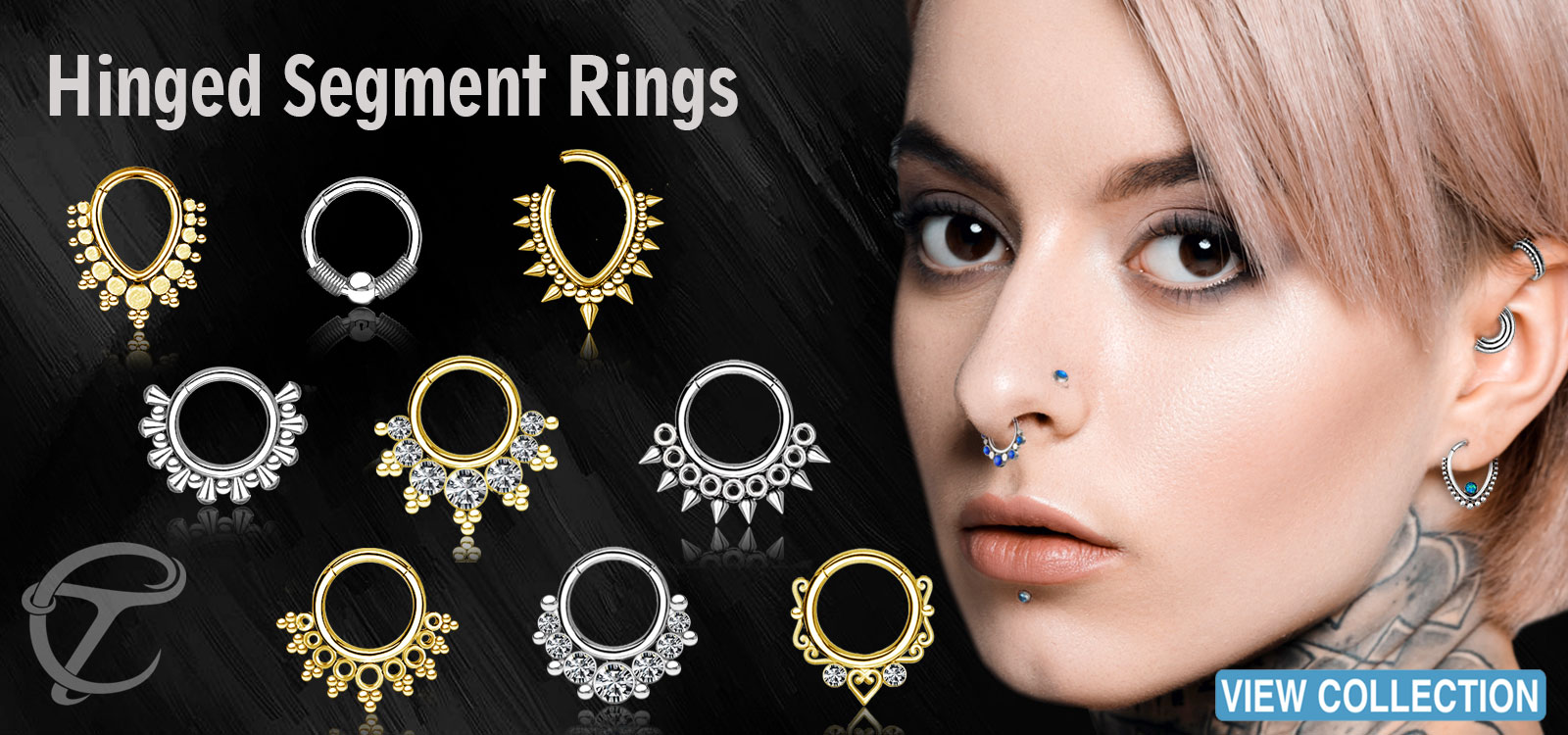 steel-body-piercing-jewelry-segment-rings