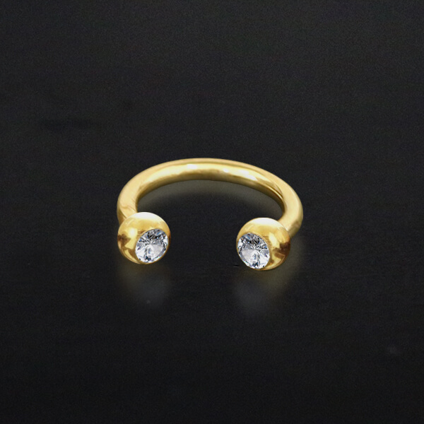 circular barbell piercing,eyebrow piercing,septum piercing,conch piercing,helix piercing