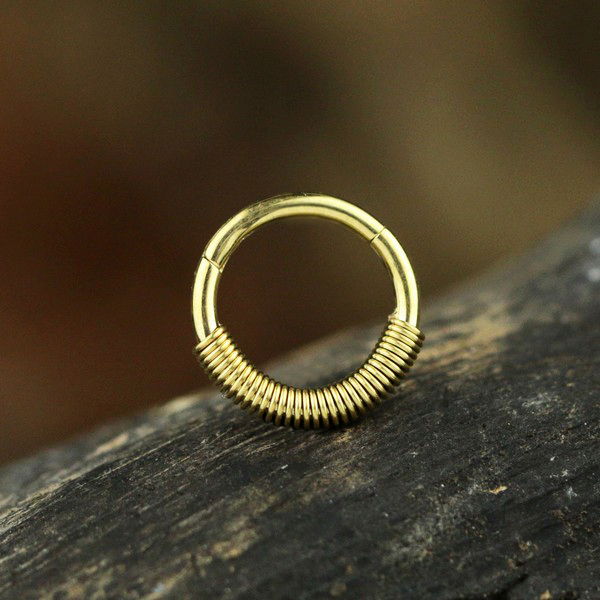 hinged segment ring piercing,steel piercing,industrial piercing,helix piercing,tragus piercing,nose piercing,eyebrow piercing