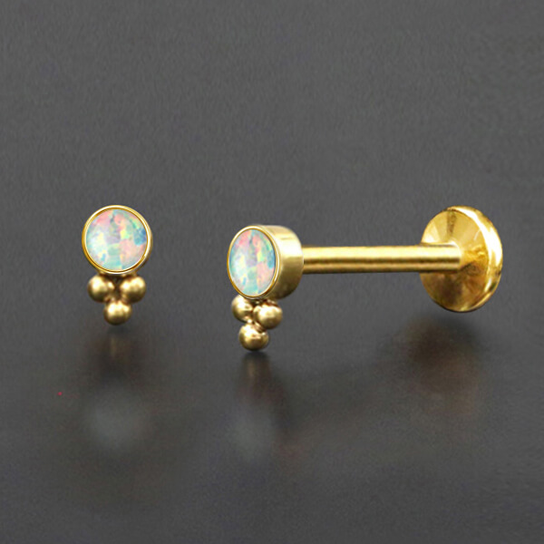 labret piercing,lip piercing,flat piercing,upper lobe piercing,tragus piercing