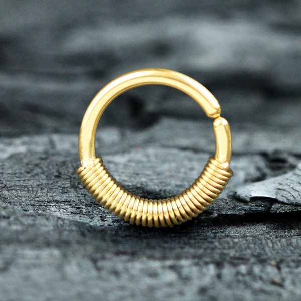 seamless ring steel piercing,industrial piercing,seamless piercing,hinged segment rings,helix piercing,conch piercing,snug piercing