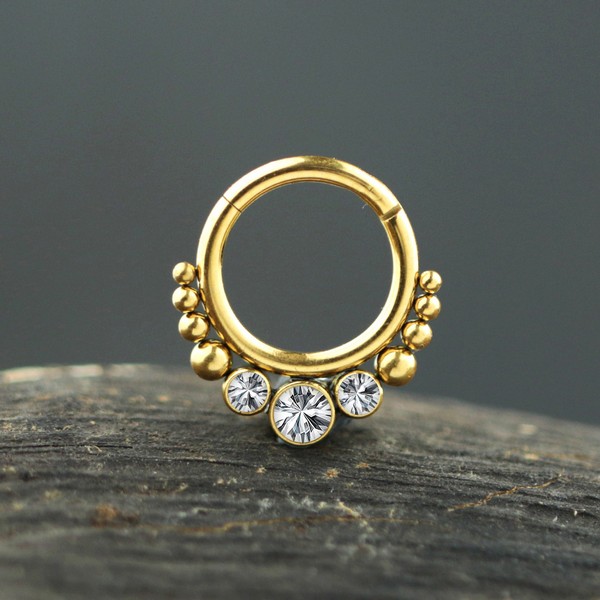 steel hinged segment rings,steel cluster piercing,steel body jewelry,snug piercing,tragus piercing,septum piercing,steel body piercing wholesale