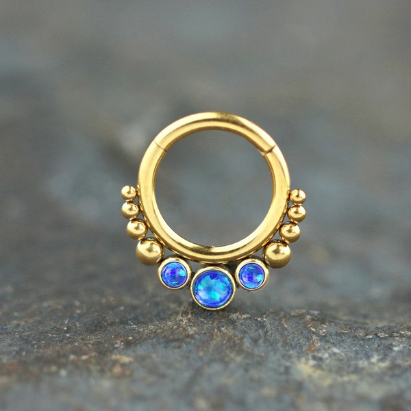 steel hinged segment rings,steel cluster piercing,steel body jewelry,snug piercing,tragus piercing,septum piercing,steel body piercing wholesale