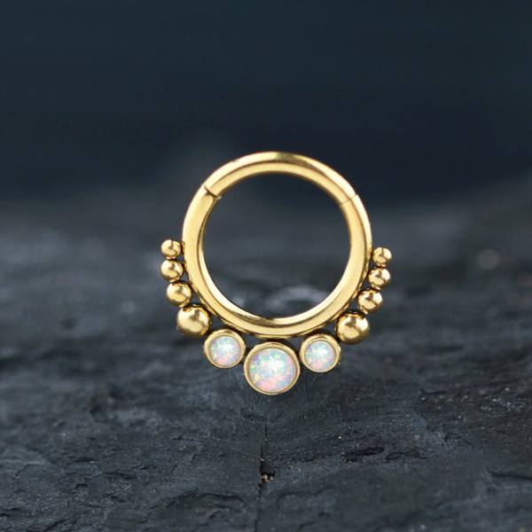 steel hinged segment rings,steel cluster piercing,steel body jewelry,snug piercing,tragus piercing,septum piercing,steel body piercing wholesale