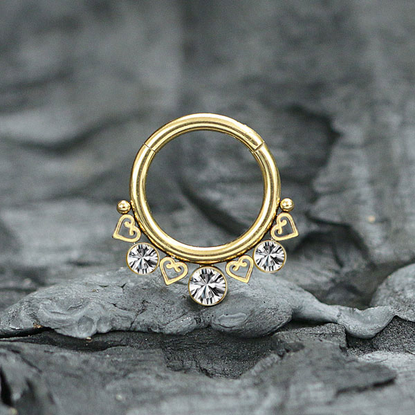 steel hinged segment rings,steel cluster piercing,tragus piercing,daith piercing,septum piercing,wholesale steel body piercing jewelry