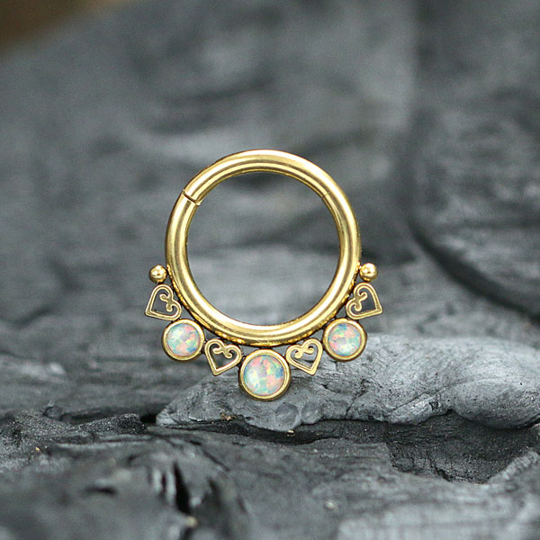 steel hinged segment rings,steel cluster piercing,steel body jewelry,tragus piercing,daith piercing,septum piercing,wholesale steel body piercing jewelry