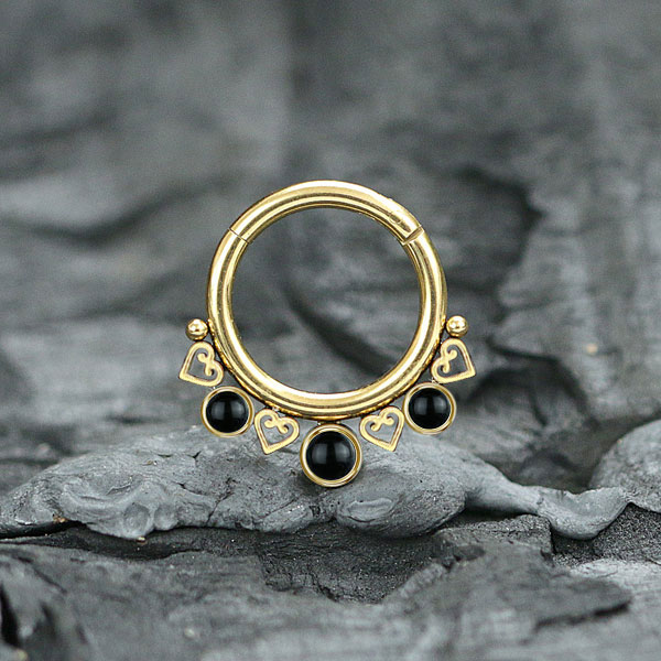 steel hinged segment rings,steel cluster piercing,steel body jewelry,tragus piercing,daith piercing,septum piercing,wholesale steel body piercing jewelry