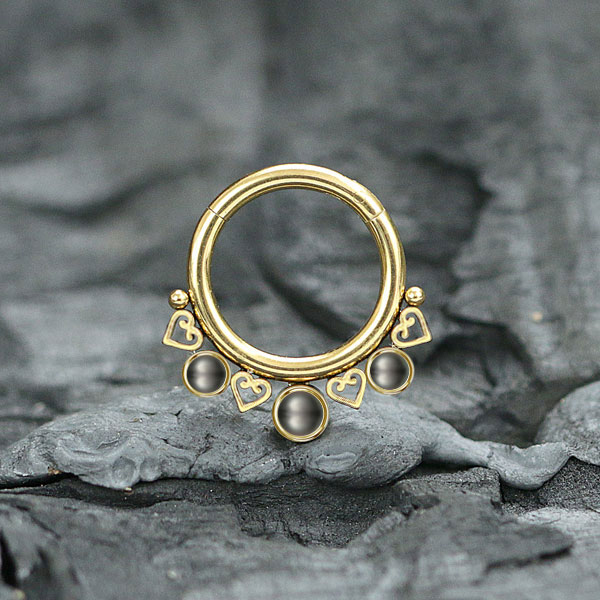 steel hinged segment rings,steel cluster piercing,tragus piercing,daith piercing,septum piercing