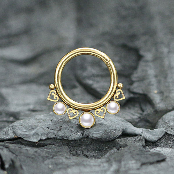 steel hinged segment rings,steel cluster piercing,tragus piercing,daith piercing,septum piercing