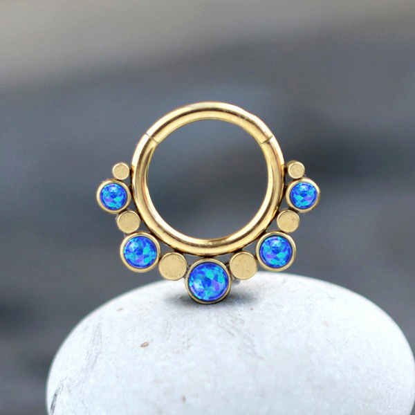 steel body jewelry,hinged steel segment ring,steel piercing,septum piercing,tragus piercing,rook piercing