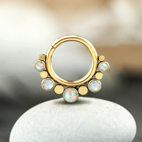 steel body jewelry,hinged steel segment ring,steel piercing,steel body jewelry,septum piercing,tragus piercing,rook piercing