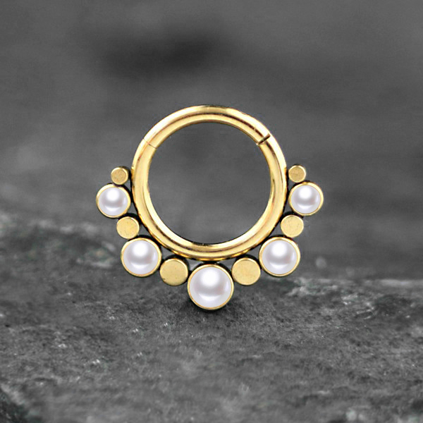 steel body jewelry,hinged steel segment ring,steel piercing,steel body jewelry,septum piercing,tragus piercing,rook piercing