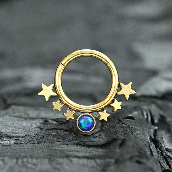 hinged segment ring,steel body jewelry,wholesale steel piercing