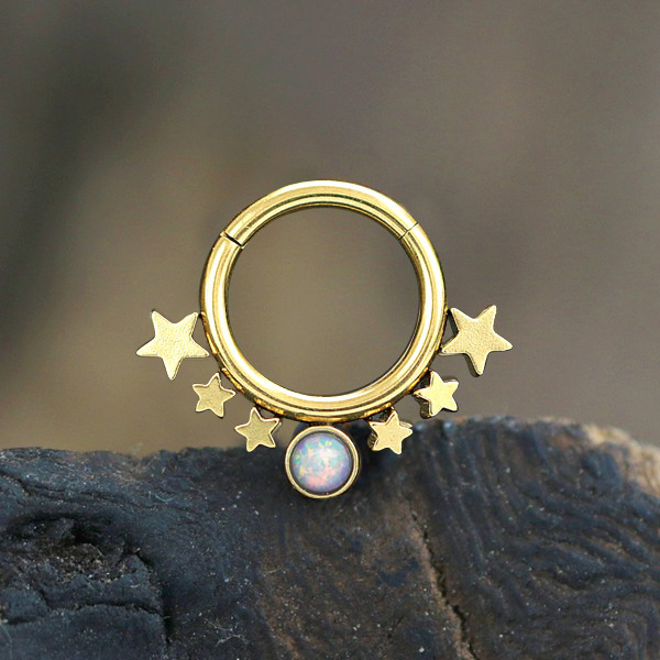 steel body jewelry,hinged steel segment ring,steel body jewelry,septum piercing,snug piercing,daith piercing