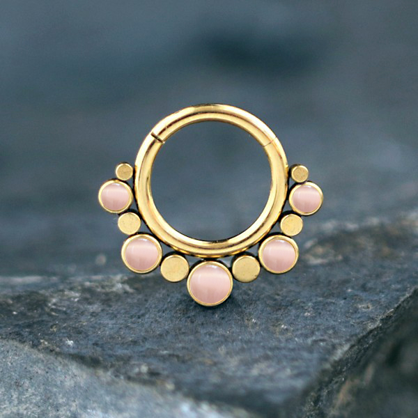 steel body jewelry,hinged steel segment ring,steel piercing,steel body jewelry,septum piercing,tragus piercing,rook piercing