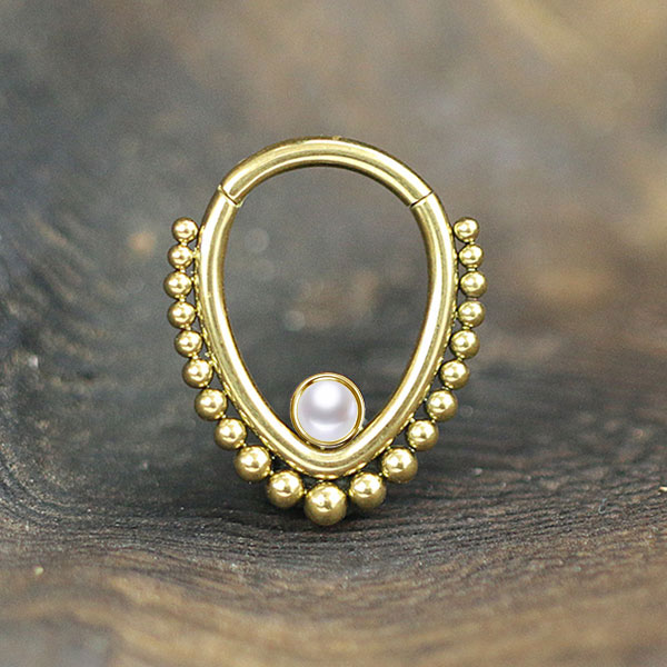 hinged segment ring,steel jewelry,steel piercing cluster,steel body jewelry,daith piecing,rook piercing,nose piercing