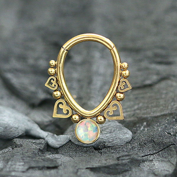 hinged segment ring,steel piercing balls,steel body jewelry,snug piecing,helix piercing,septum piercing