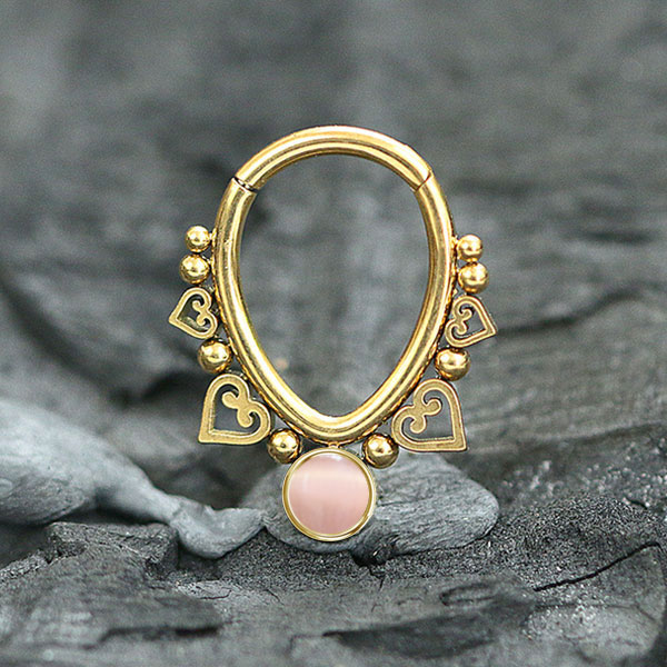 steel hinged segment ring,steel jewelry,steel body jewelry,daith piecing,helix piercing,septum piercing