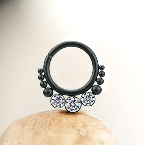 steel hinged segment rings,steel cluster piercing,steel body jewelry,daith piercing,tragus piercing,septum piercing,steel body piercing wholesale