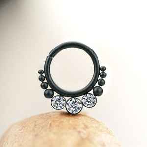 Steel Piercing Hinged Segment Rings XH 135B CZ