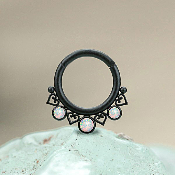 316L hinged segment ring,steel body jewelry,steel piercing jewelry,wholesale steel piercing