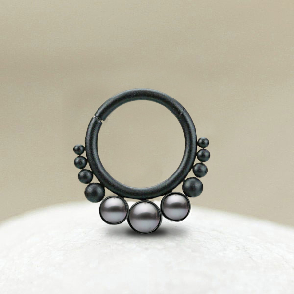 steel hinged segment rings,steel cluster piercing,steel body jewelry,snug piercing,tragus piercing,septum piercing