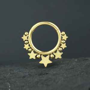 Steel Piercing Hinged Segment Rings XH 146G