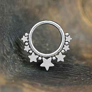 Steel Piercing Hinged Segment Rings XH 146X