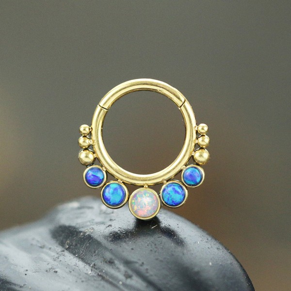 hinged steel segment ring piercing,steel body piercing jewelry,wholesale body jewelry