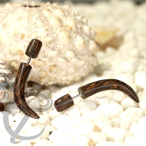 fake piercing , expander