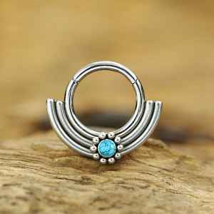 Steel Piercing Hinged Segment Rings XH 163X TQ