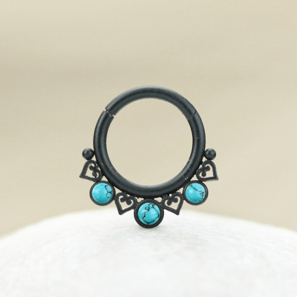 316L hinged segment ring,steel body jewelry,steel piercing jewelry,wholesale steel piercing