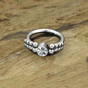 Steel Piercing Hinged Segment Rings XH 173X CZ