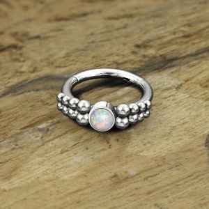 Steel Piercing Hinged Segment Rings XH 173X OW