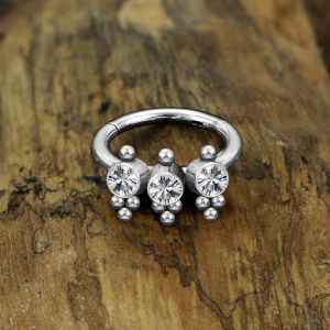 Steel Piercing Hinged Segment Rings XH 177X CZ