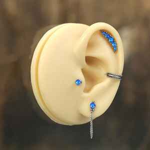 Displays Silicone Displays DA Ear
