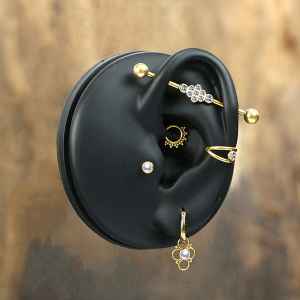 Displays Silicone Displays DB Ear