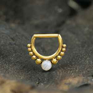 Steel Piercing Hinged Segment Rings XHS 100G BWA