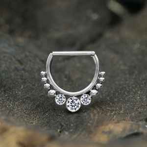 Steel Piercing Hinged Segment Rings XHS 101X CZ