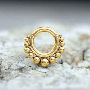 Steel Piercing Hinged Segment Rings XH 210G