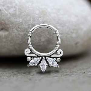 Steel Piercing Hinged Segment Rings XH 251X CZ