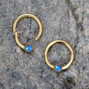 Steel Piercing Hinged Segment Rings XH 003G OB