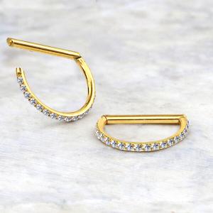 Steel Piercing Hinged Segment Rings XHS 103G CZ