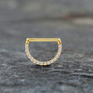 Steel Piercing Hinged Segment Rings XHS 104G CZ