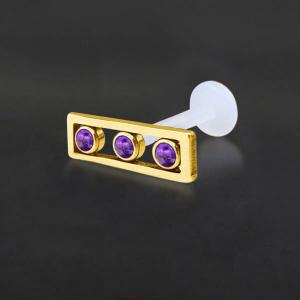Threadless Piercing PTFE Steel Labrets NTL 081G PU