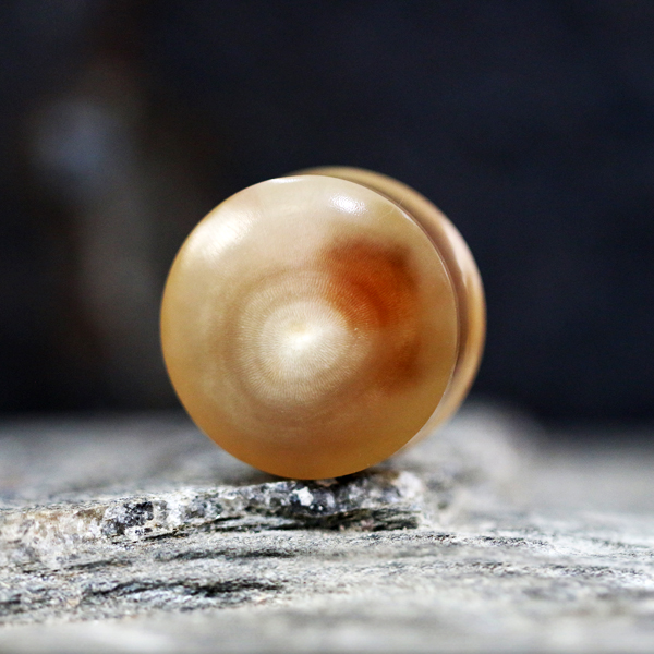 horn,plugs,tribal,piercing,tribal,piercing