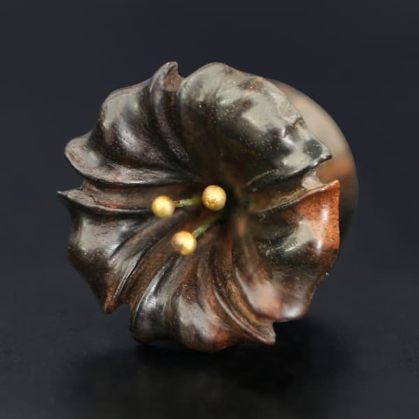 wood,plugs,wood,piercing,wooden,earplugs