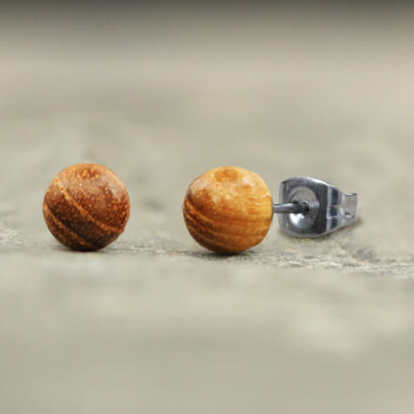 shell,ear,stud,wood,ear,stud,wood,ear,sticker,display