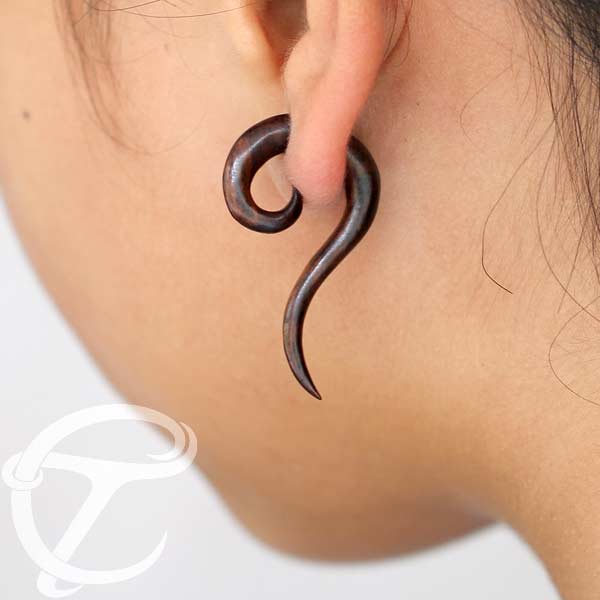 wood,fake,piercing,cheaters,fake,expander