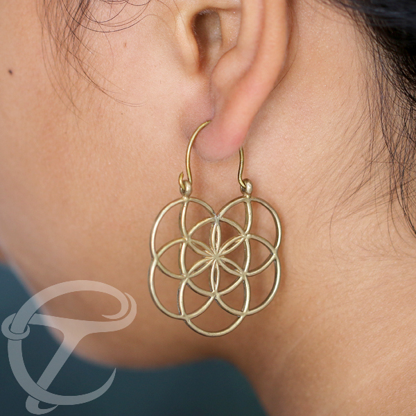 brass plugs wholesale